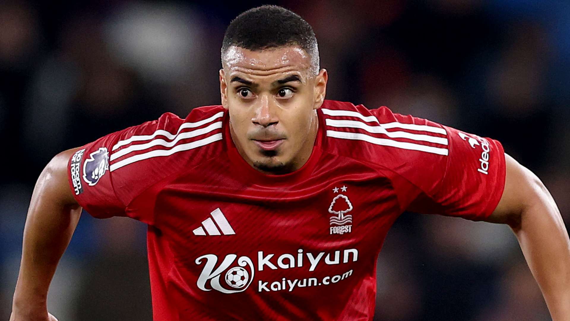 相比之下 相比之下